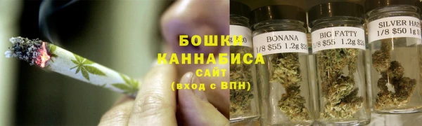 молекула духа Белокуриха