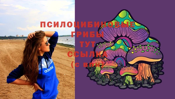молекула духа Белокуриха