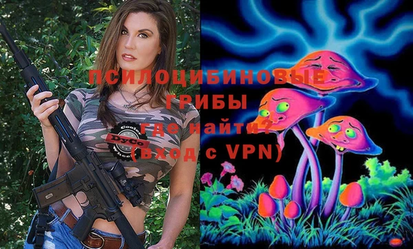 молекула духа Белокуриха