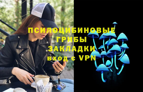молекула духа Белокуриха