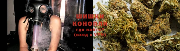 молекула духа Белокуриха