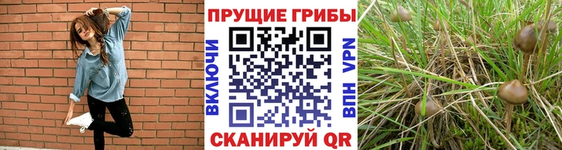 гидра онион  Называевск  Галлюциногенные грибы Magic Shrooms 